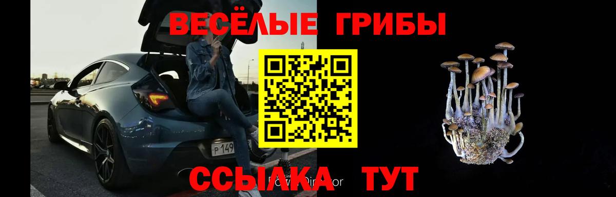 Галлюциногенные грибы мицелий  Псилоцибиновые грибы GOLDEN TEACHER  Кореновск  наркошоп  Вход с VPN 